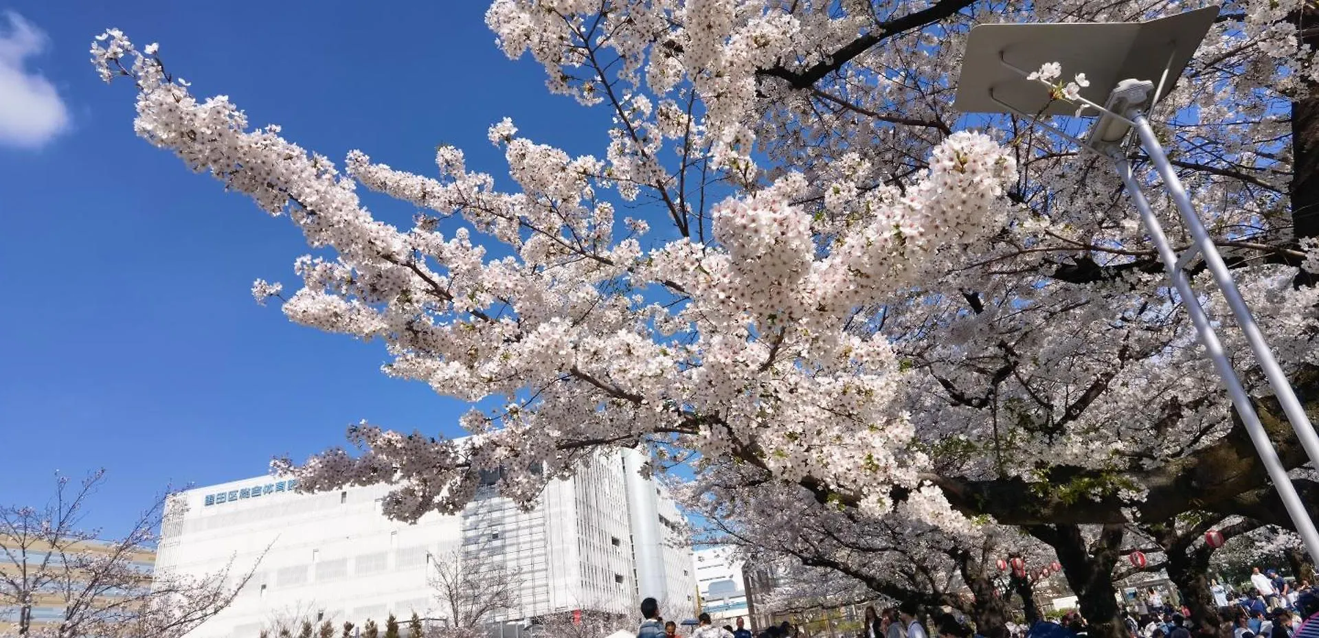 明月楼三零二 Apartment Tokyo
